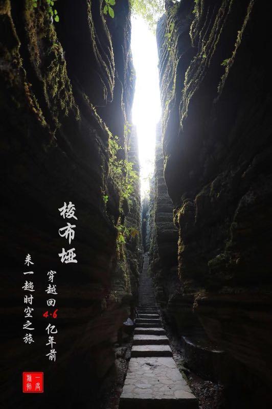 失事的飞机逃脱